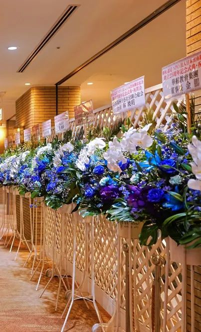 1752723158335629.jpg 1752723158335629.jpg