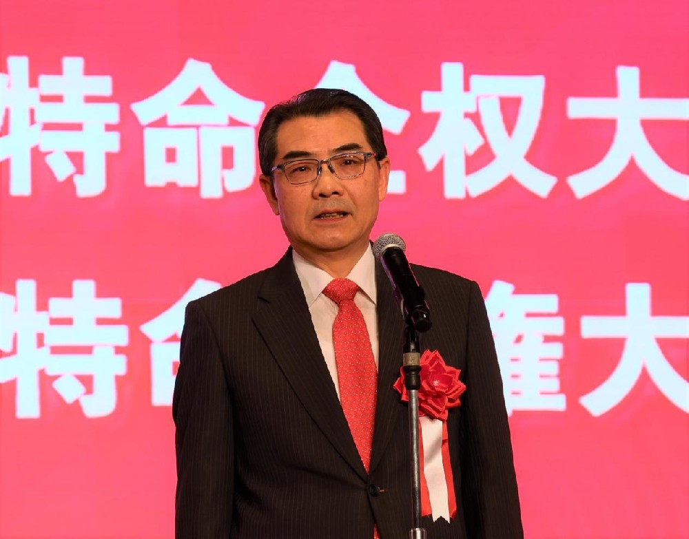 同心庆新春 聚力促友好 —— 全日本华侨华人马年春晚圆满举办