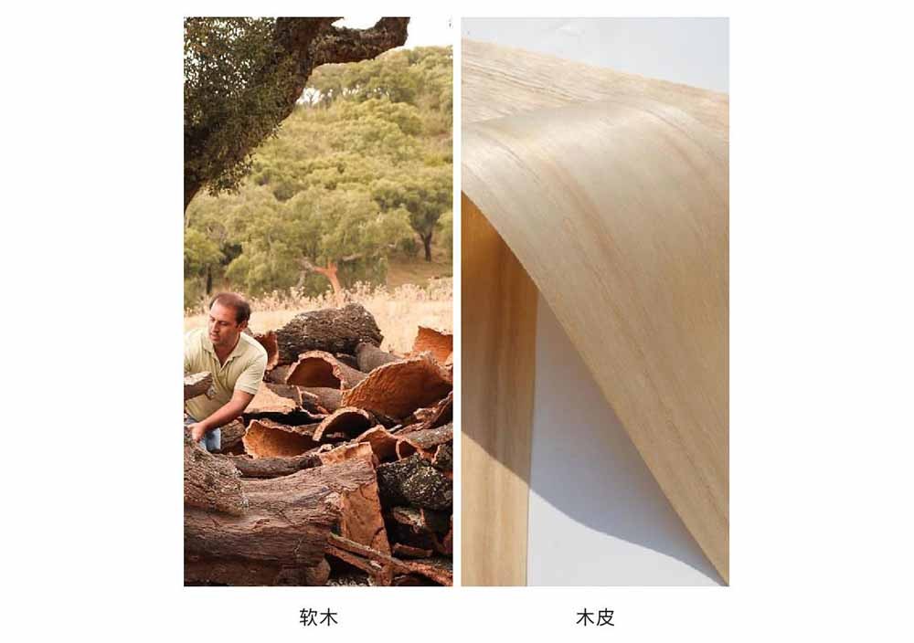 コルク | Cork & 突板 | Wood Veneer